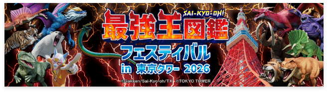 最強王フェスティバルin東京タワー 